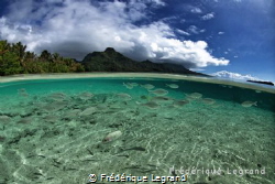 Moorea, French Polynesia by Frédérique Legrand 